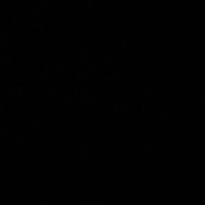 Meet your Posher, Jack